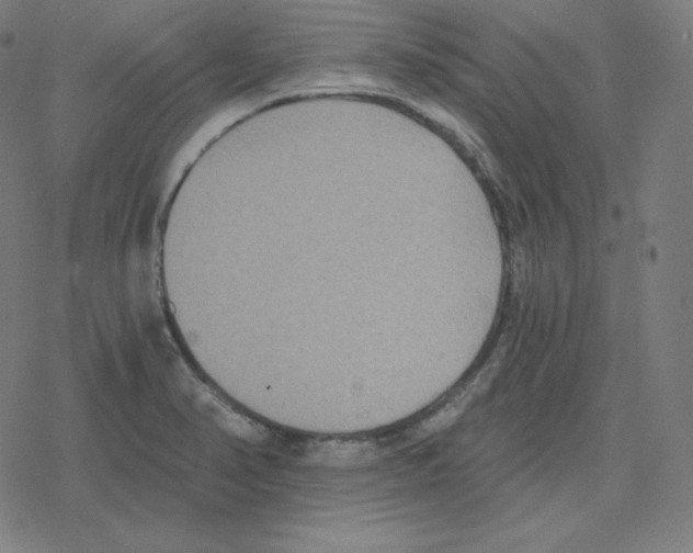 X0000078281374200612011733