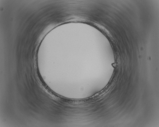 X0000078281375200612011733