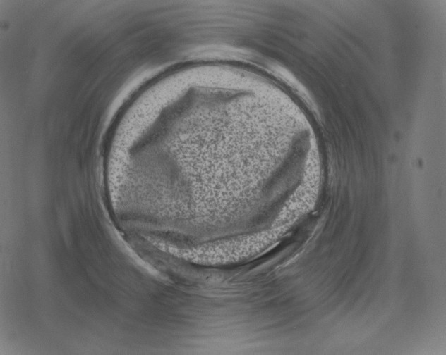 X0000078281376200612011733