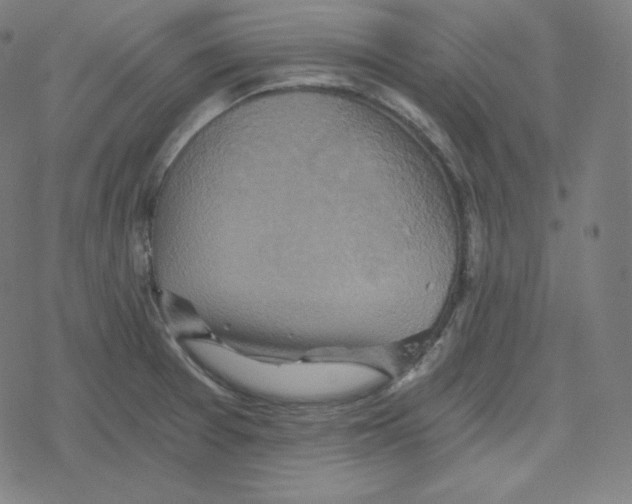 X0000078281377200612011733