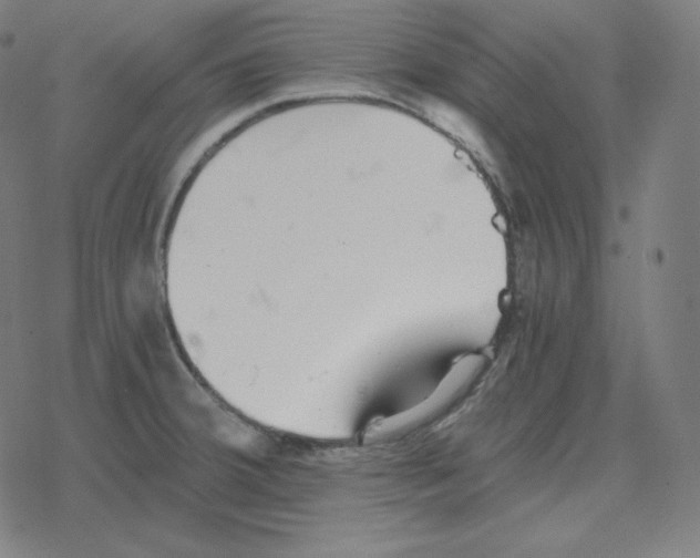 X0000078281380200612011733