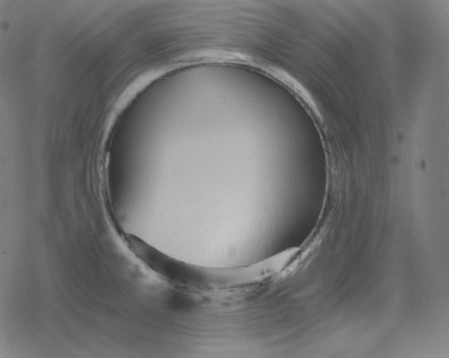 X0000078281381200612011733