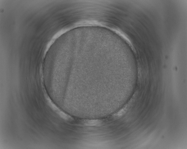 X0000078281382200612011733