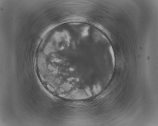 X0000078281383200612011733