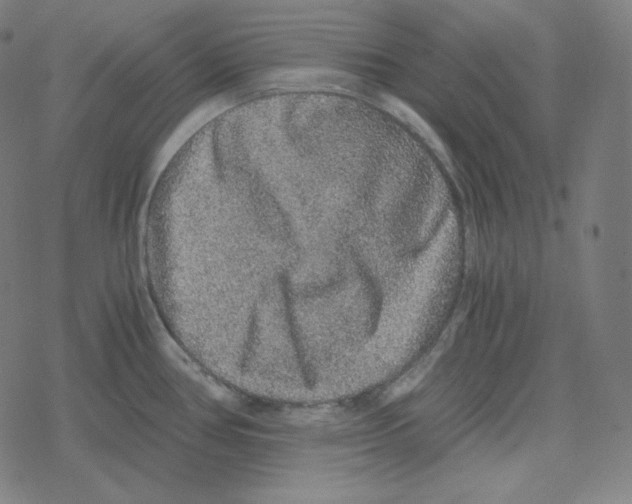 X0000078281386200612011733