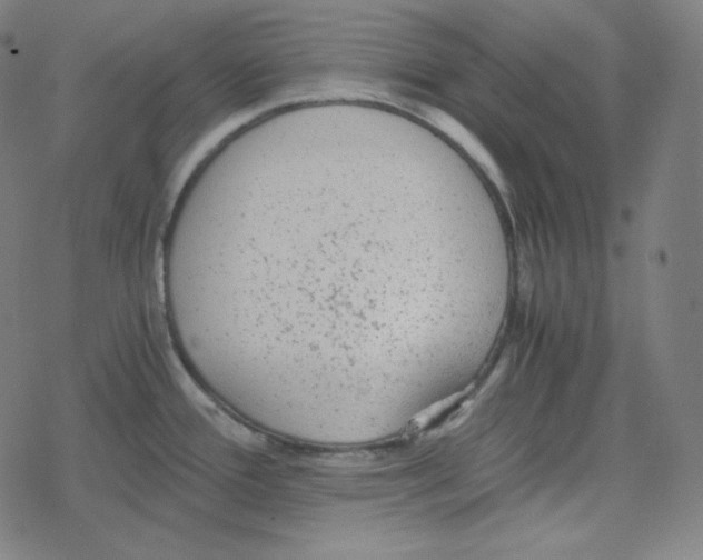 X0000078281388200612011733