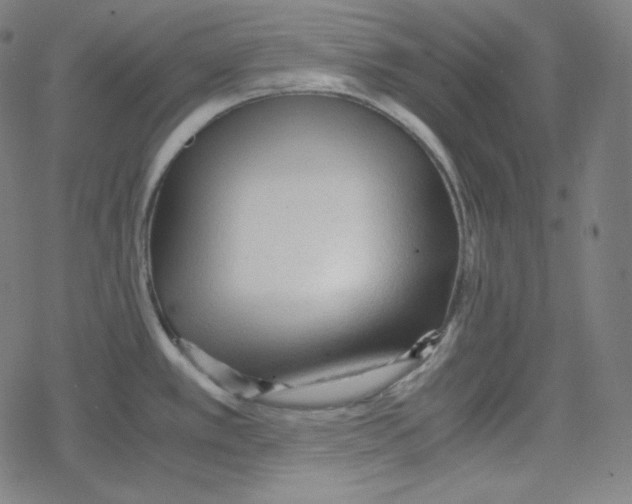 X0000078281389200612011733