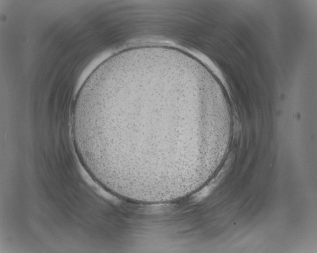 X0000078281390200612011733