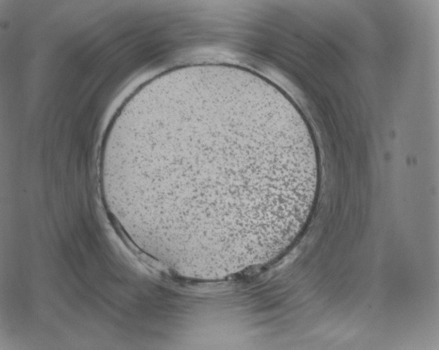 X0000078281392200612011733