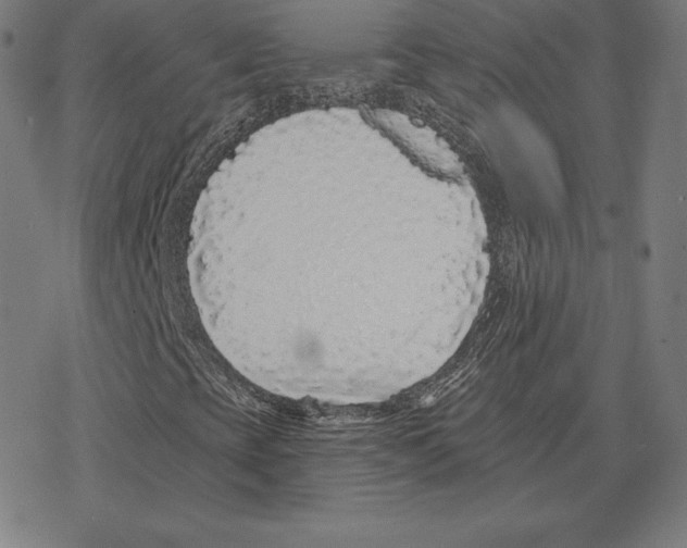 X0000078281393200612011732