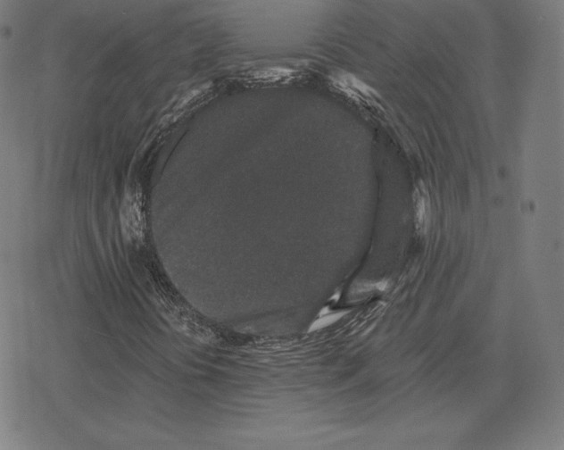 X0000078281394200612011732