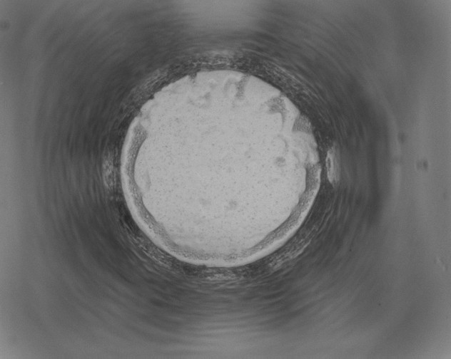 X0000078281395200612011732