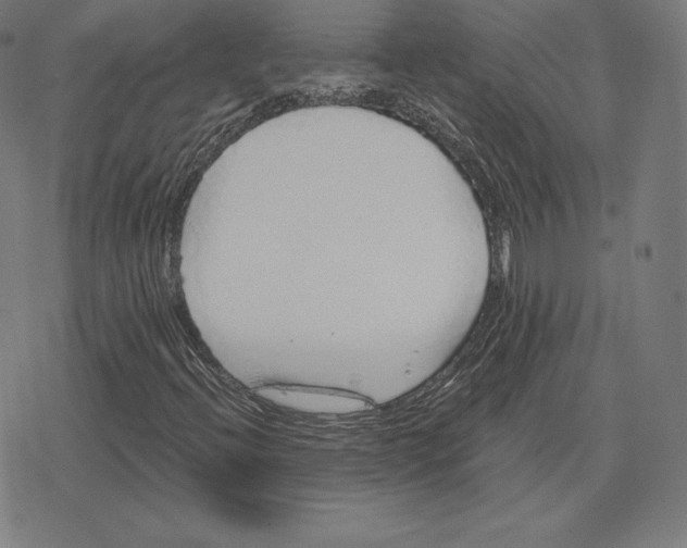 X0000078281396200612011732