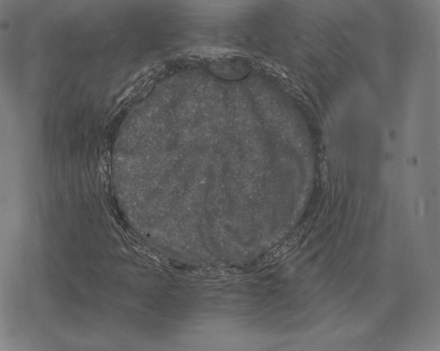 X0000078281397200612011732