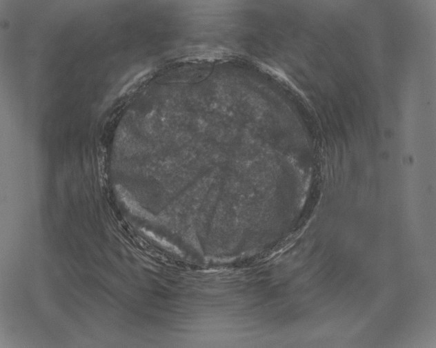 X0000078281399200612011733