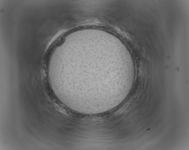 X0000078281400200612011733