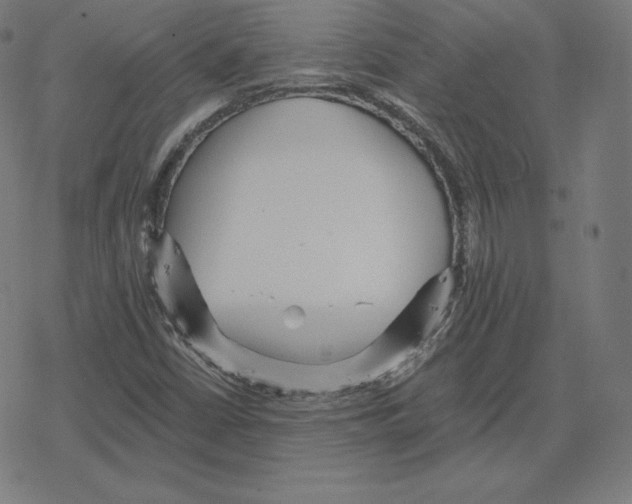 X0000078281402200612011733