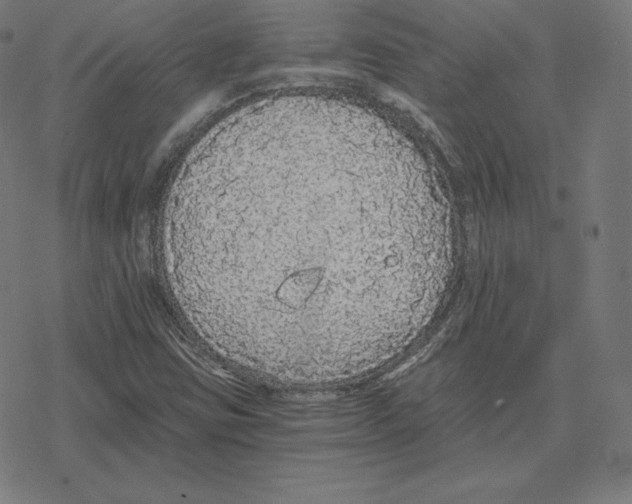 X0000078281403200612011733