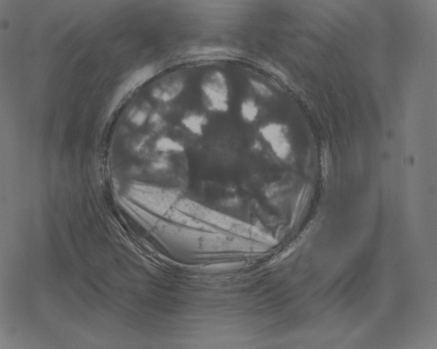 X0000078281405200612011733