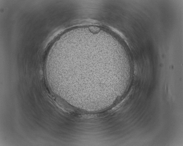 X0000078281407200612011733