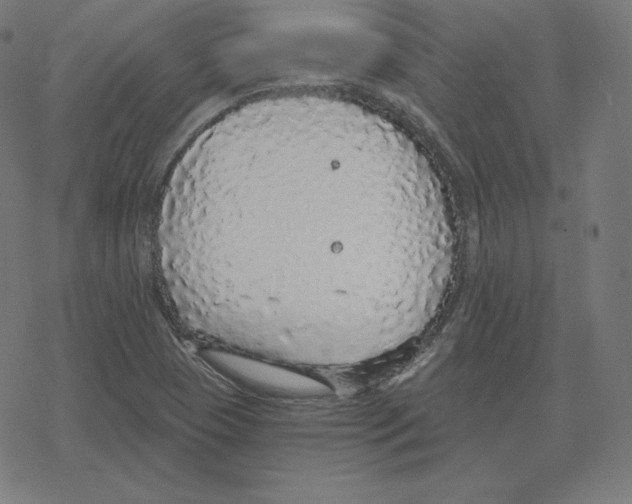 X0000078281409200612011733