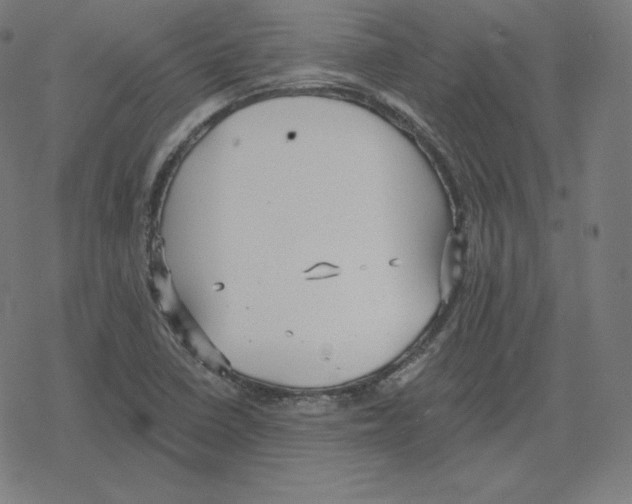 X0000078281410200612011733