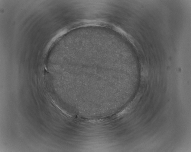 X0000078281411200612011733