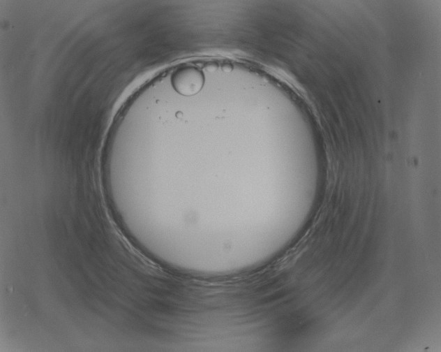 X0000078281412200612011733