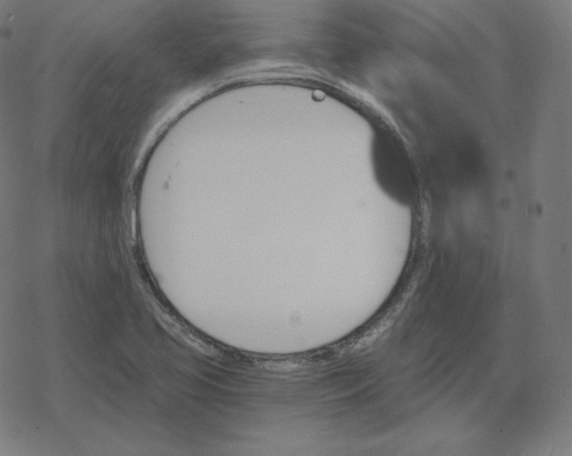 X0000078281413200612011733