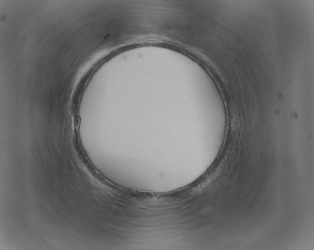 X0000078281414200612011733