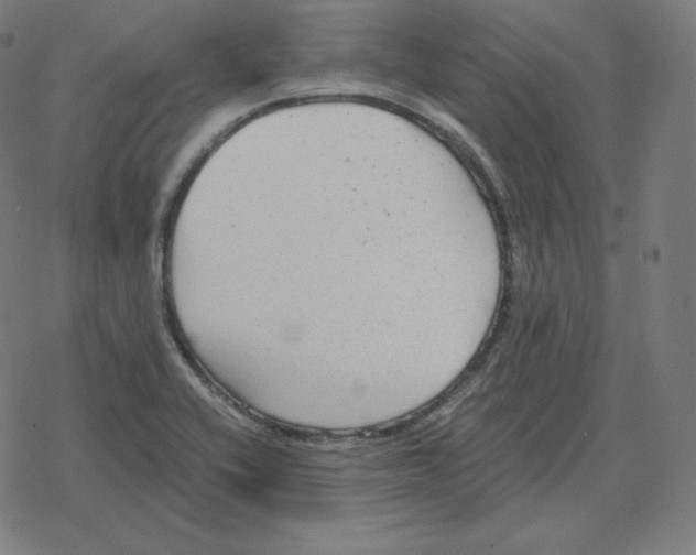 X0000078281416200612011733