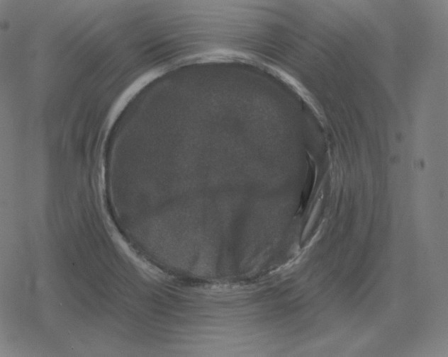 X0000078281418200612011733