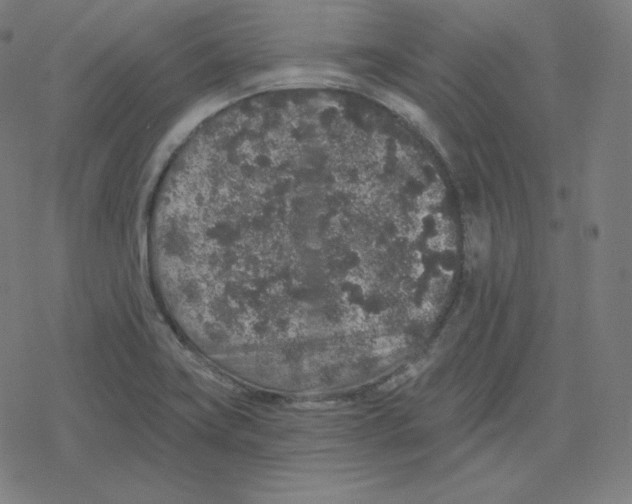 X0000078281419200612011733