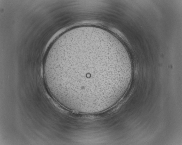 X0000078281420200612011733