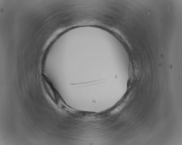 X0000078281422200612011733