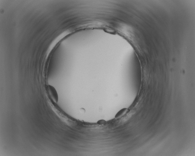 X0000078281426200612011733