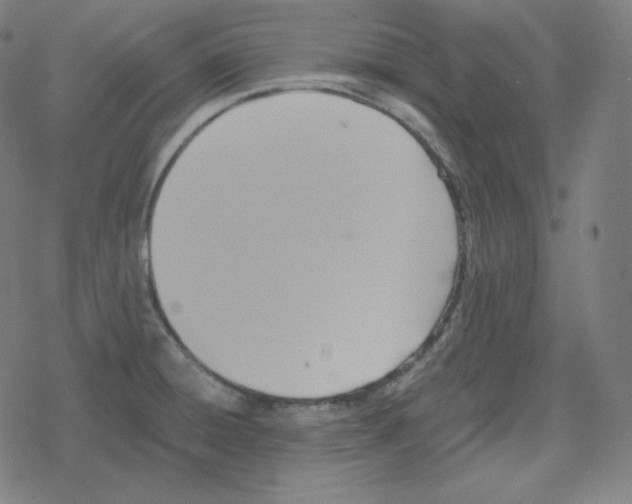 X0000078281428200612011733