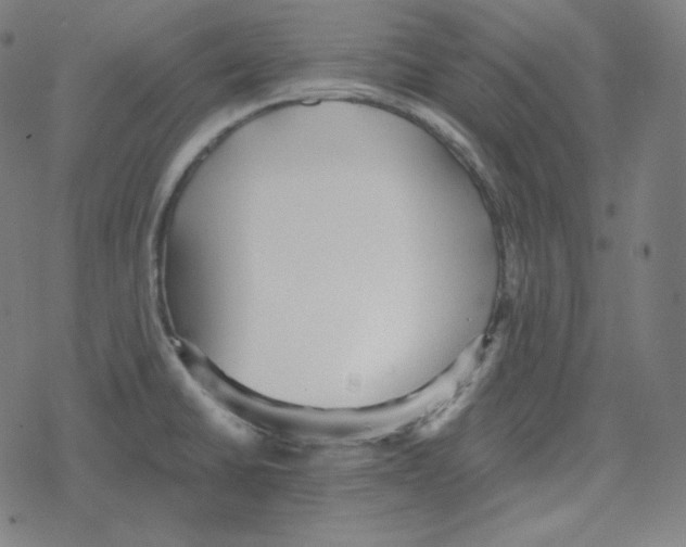 X0000078281430200612011733