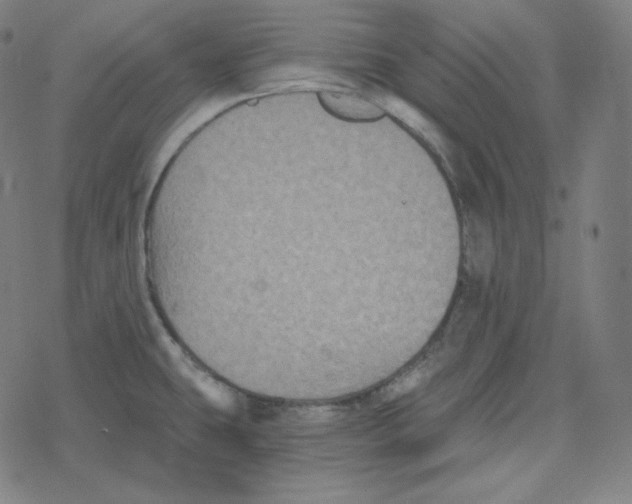 X0000078281431200612011733