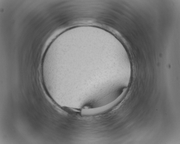 X0000078281432200612011733