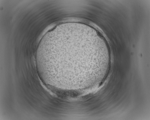 X0000078281433200612011733