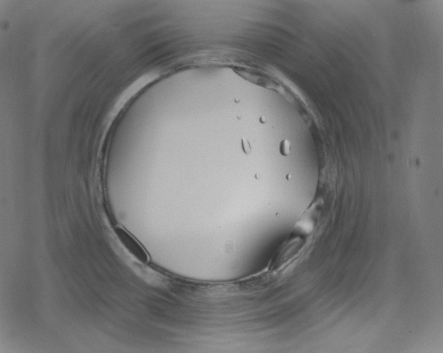 X0000078281434200612011733