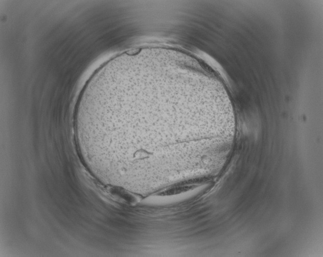 X0000078281435200612011733