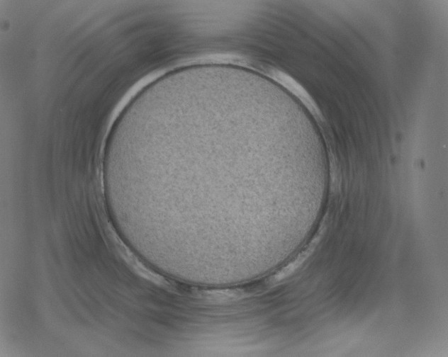 X0000078281436200612011733