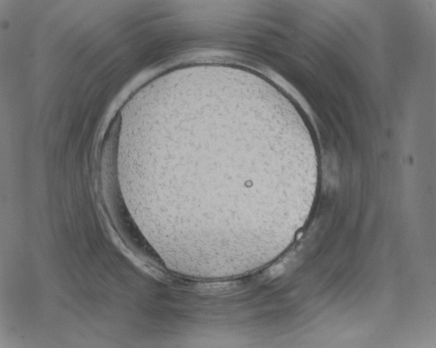 X0000078281437200612011733