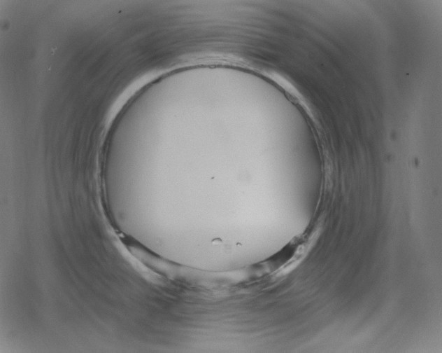 X0000078281438200612011733