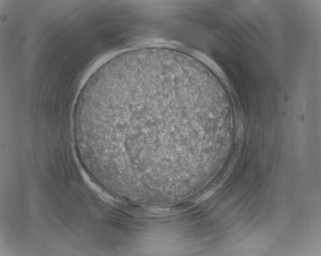 X0000078281439200612011733