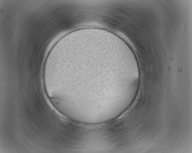 X0000078281440200612011733