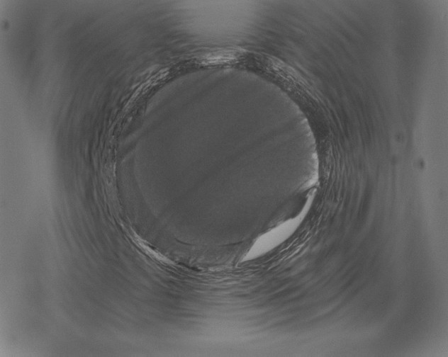 X0000078281441200612011732