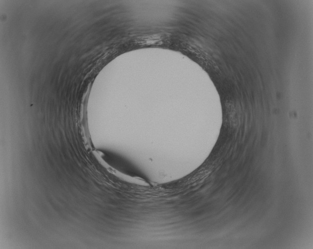 X0000078281442200612011732